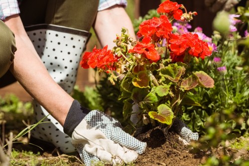 Seasonal flowers planted by Dulwich gardeners